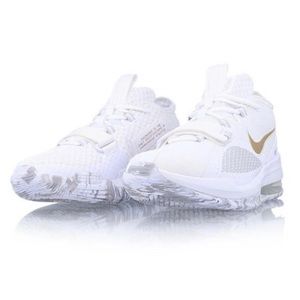 The Nike Air Force Max Low w 10